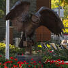 20191024_Fall_Stock_JVL_011-High%20Res%20JPEG%20300%20DPI_0.jpg