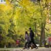 Contact Temple Admissions team