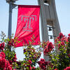 The Temple T cherry red flag waves above rose bushes on Main Campus