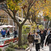 Students walking on campus